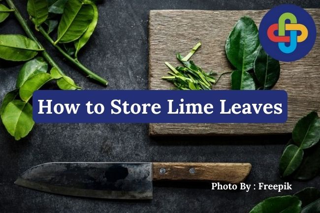 How to Store Lime Leaves to Keep Them Fresh for Longer